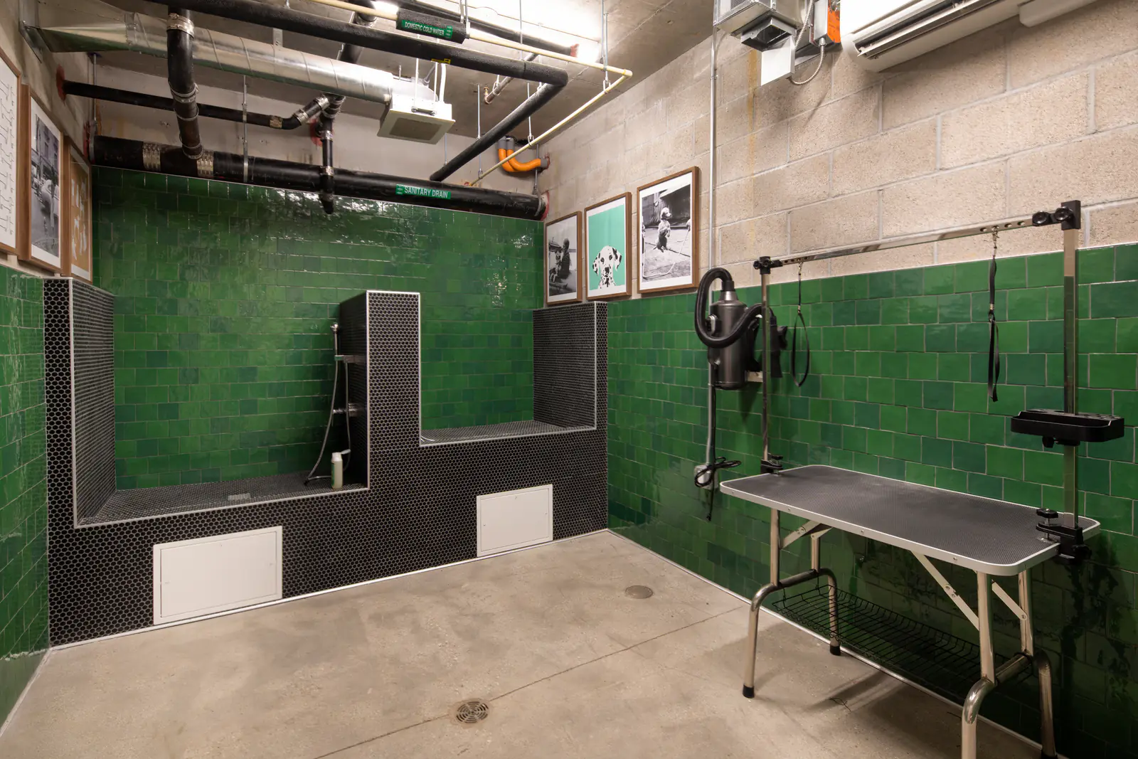 Pet Spa and Grooming Station